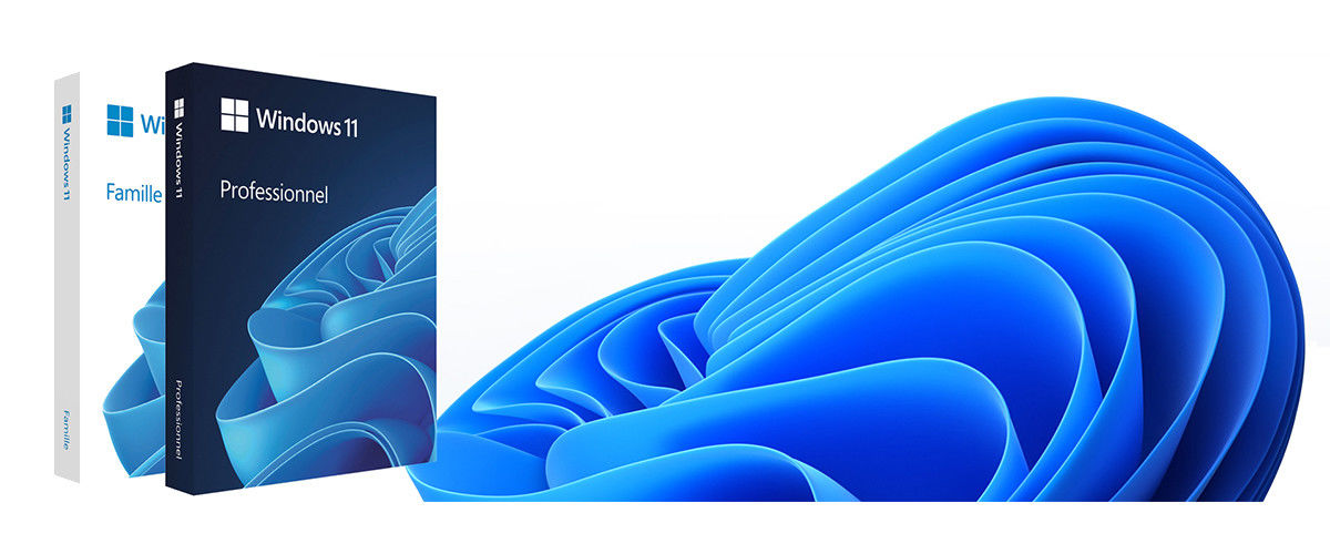 CHINA el mejor Favorable OEM de Windows 11 en ventas