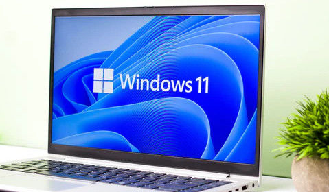 Windows 11 Pro OEM Inglés de 64 bits - Características comerciales con licencia digital permanente