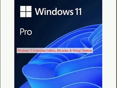 Edición empresarial de Windows 11, BitLocker y escritorio virtual
