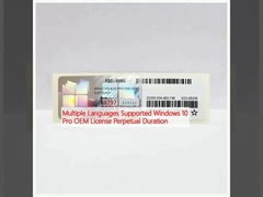 Apoyo para varios idiomas Windows 10 Pro Licencia OEM Perpetua